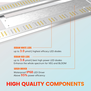 How to choose best grow light 2024 for indoor plants?