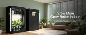 TheOneGrow indoor grow tent setup for airflow lighting and climate control in South Africa