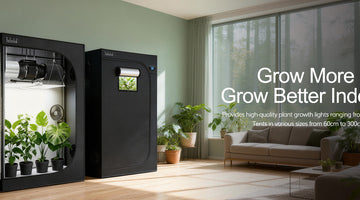TheOneGrow indoor grow tent setup for airflow lighting and climate control in South Africa