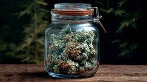 cure cannabis