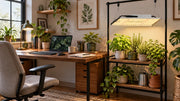 A separate herb station under an MA120 120W LED Grow Light beside a usable work desk