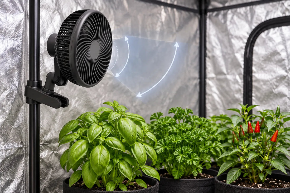 A reference-faithful six-inch clip fan mounted clear of herbs and tent fabric