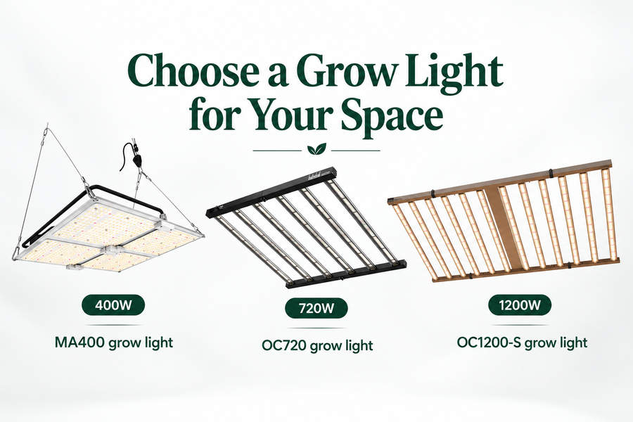 Grow Light for Plants in South Africa: Buy for the Space Ahead