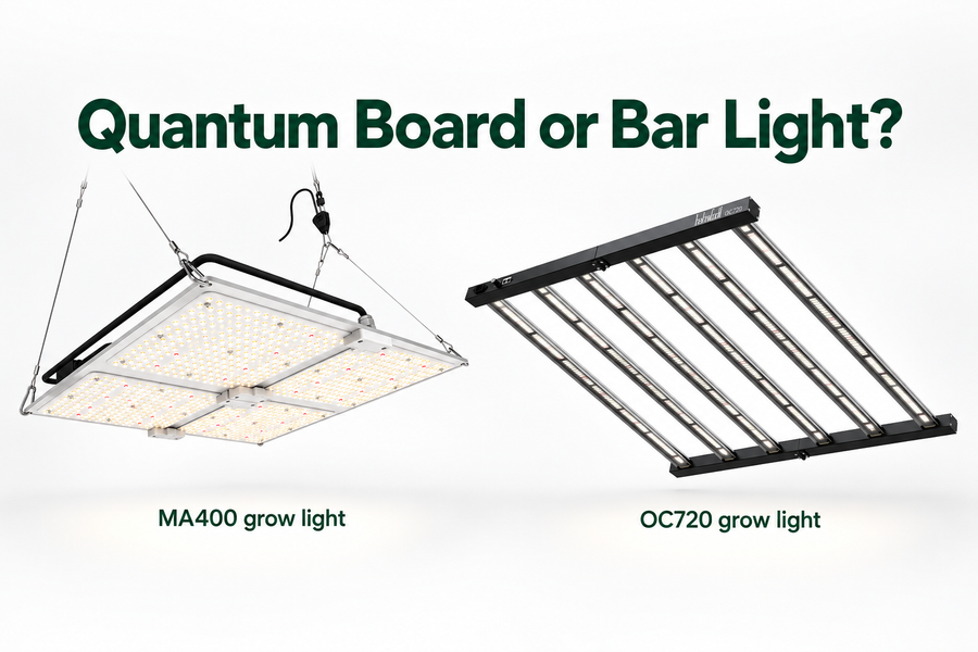 Grow Light LED Choices in South Africa: Which Design Suits You?