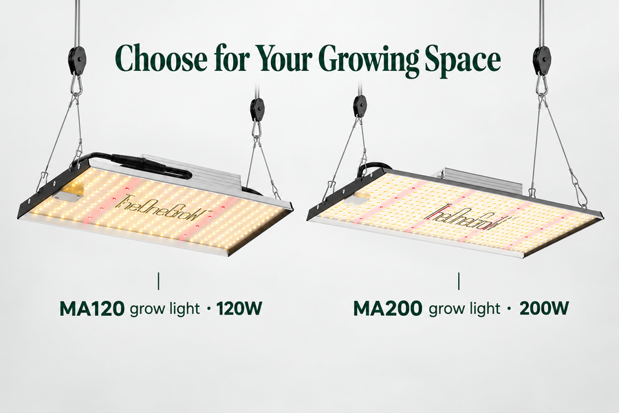 Grow Lights for Plants in South Africa: MA120 Grow Light or MA200 Grow Light?
