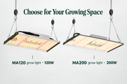Grow Lights for Plants in South Africa: MA120 Grow Light or MA200 Grow Light?