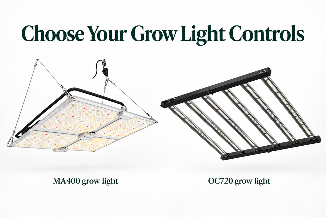 LED Grow Lights in South Africa: Which Controls Make Growing Easier?