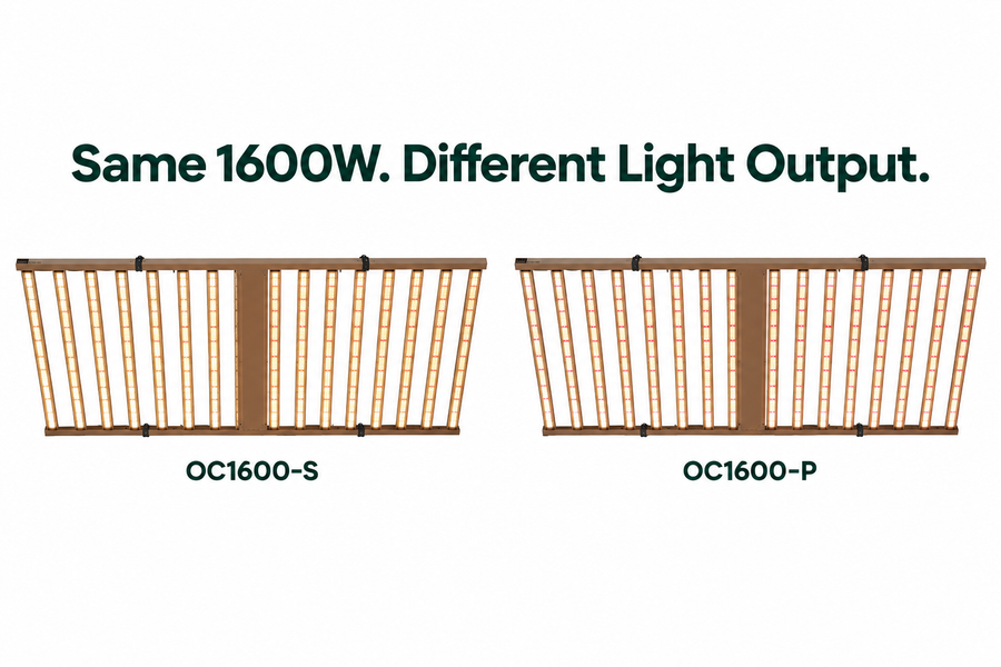 LED Grow Light Specs in South Africa: What Are You Paying For?
