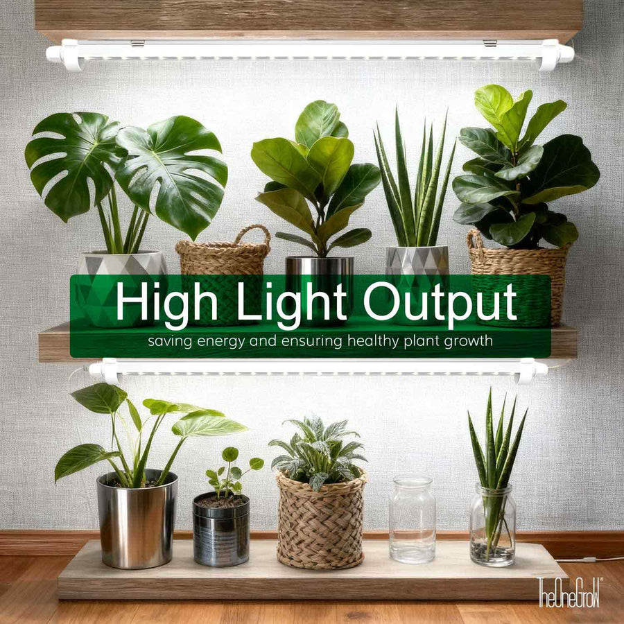 T8 LED tubes lighting indoor plants on a shelf