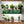 Load image into Gallery viewer, T8 LED Tube Grow Lights 10W x 2PCS for Plant Seedling/Leafgreen/Mushroom/Microgreens Cultivation
