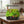 Load image into Gallery viewer, Smart Countertop Hydroponic Grower

