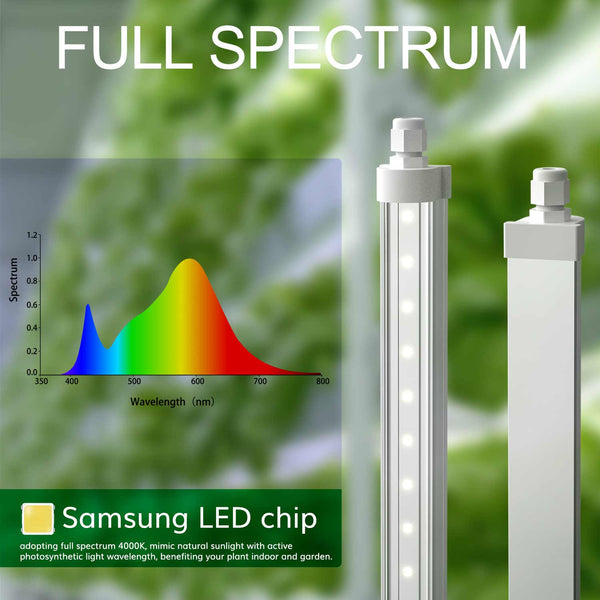 T8 LED Tube Grow Lights 10W x 2PCS for Plant Seedling/Leafgreen/Mushroom/Microgreens Cultivation