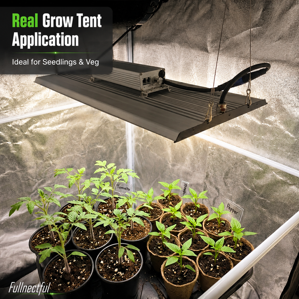 200W full spectrum LED grow light installed in indoor grow tent for seedlings and veg growth