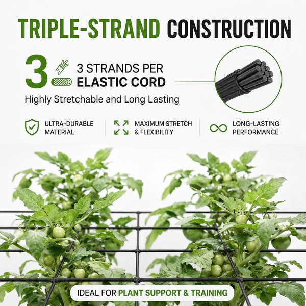 SAVE 500!240×240×200cm Grow Tent Kits ---TheOneGrow