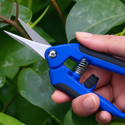 Precision Pruning Scissors for Plants ---TheOneGrow