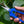 Load image into Gallery viewer, Precision Pruning Scissors for Plants ---TheOneGrow
