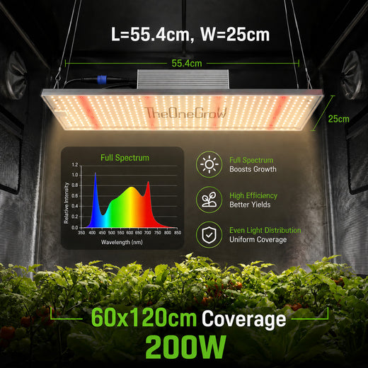 200W LED grow light in tent showing 55.4cm by 25cm panel size and 60x120cm coverage