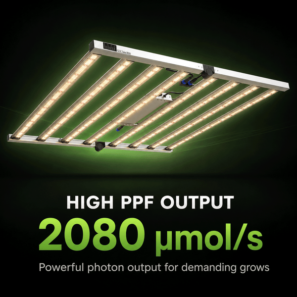 3rd Anniversary Sale! Octopus 800 Foldable 𝟴𝟬𝟬𝗪 Full Spectrum LED Grow Lights With 𝗦𝗮𝗺𝘀𝘂𝗻𝗴 𝗟𝗘𝗗 𝗗𝗶𝗼𝗱𝗲𝘀 - TheOneGrow