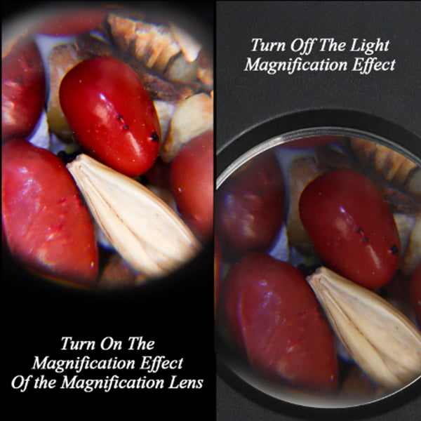 LED Glass Storage Jars with Magnifying Glass-TheOneGrow