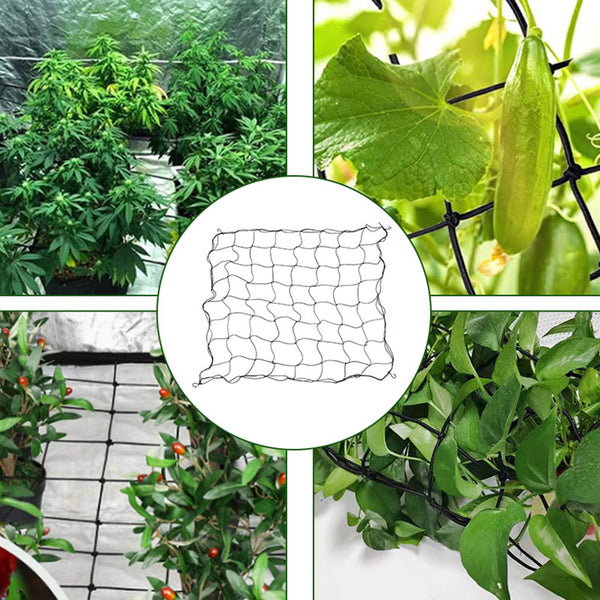 Plant Support Net for Grow Tent---TheOneGrow