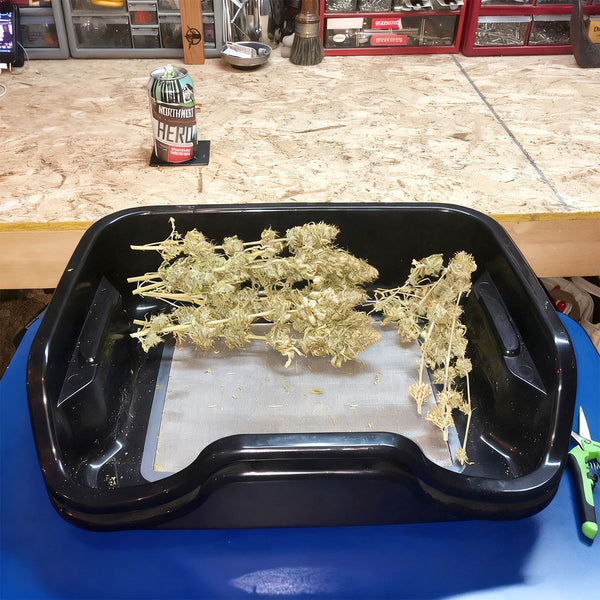 Trim Tray-Precision Trimming, Higher Yields-TheOneGrow