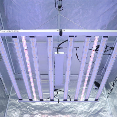 𝟭𝟮𝟬𝗪 𝗨𝗩/𝗜𝗥 Led 𝗦𝘂𝗽𝗽𝗹𝗲𝗺𝗲𝗻𝘁𝗮𝗹 𝗟𝗶𝗴𝗵𝘁 𝗕𝗮𝗿𝘀 For 1600W Grow lights