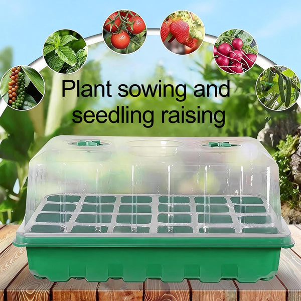 Seed Starter Tray Greenhouse Germination Kit 24 Cells per Seedling Trays
