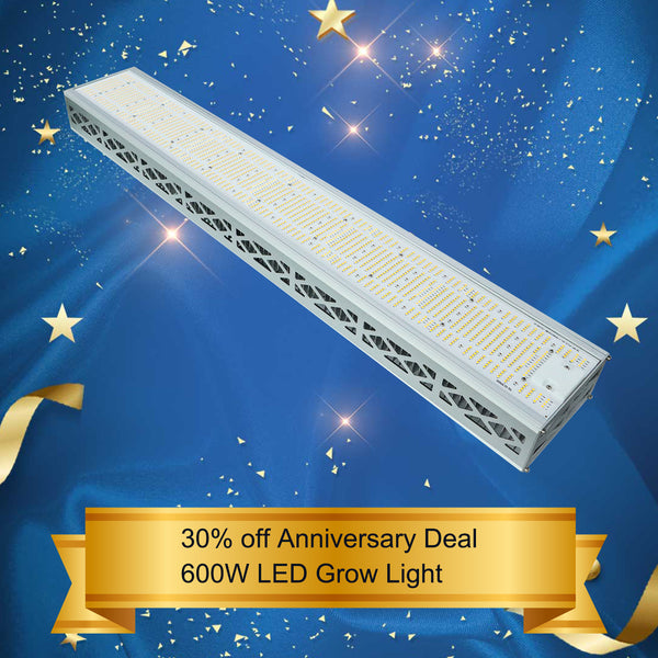 600W LED grow light for greenhouse