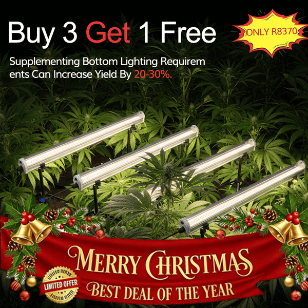 Christmas Special Offer|120W Under Canopy Lights|Samsung 301B--TheOneGrow
