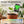 Load image into Gallery viewer, 6-in-1 Multifunctional Soil Tester---Fertility/Moisture/Temperature/PH/Sunlight Intensity/Ambient Humidity
