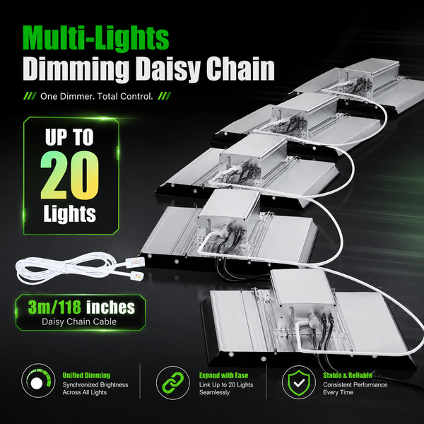 Multi-light dimming daisy chain setup for up to 20 grow lights with 3m connecting cable