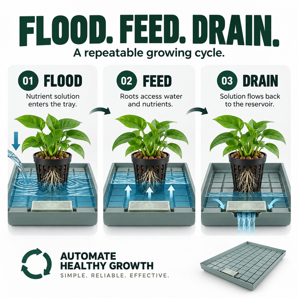 Ebb and Flow Tray - Professional Hydroponic Flood & Drain System | High-Yield Plant Growth