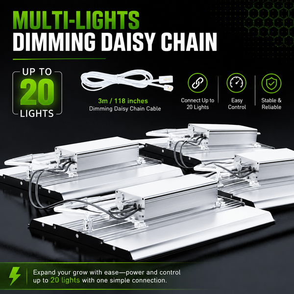 Multi-light dimming daisy chain setup for up to 20 LED grow lights with 3m connection cable