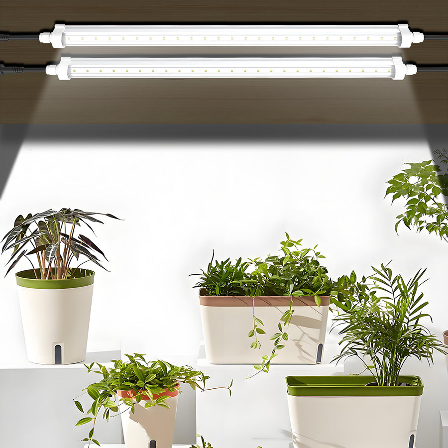 T8 LED tubes lighting indoor plants on a shelf