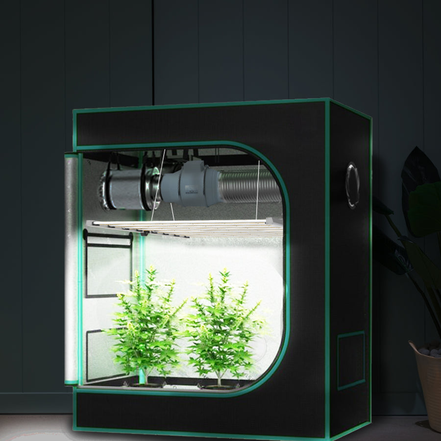 OC1000 grow light and growing setup