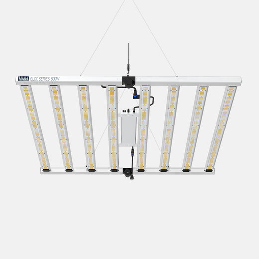 Octopus 800 foldable full spectrum LED grow light with eight bars, central driver and hanging wires