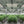 Load image into Gallery viewer, TheOneGrow 800W grow lights used in commercial indoor grow room for wide canopy coverage
