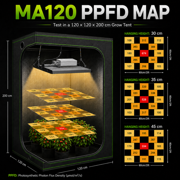 MA120 PPFD map in 120x120x200cm grow tent showing 30cm, 35cm and 45cm hanging heights