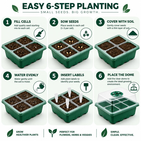 Seed Starter Tray Greenhouse Germination Kit 6 Cells per Seedling Trays