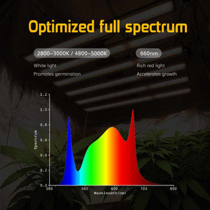 720W Full Spectrum Led Lights With 𝗦𝗔𝗠𝗦𝗨𝗡𝗚 𝗟𝗠𝟮𝟴𝟭𝗕 𝗗𝗶𝗼𝗱𝗲𝘀| 2.7umol/J Efficacy---TheOneGrow