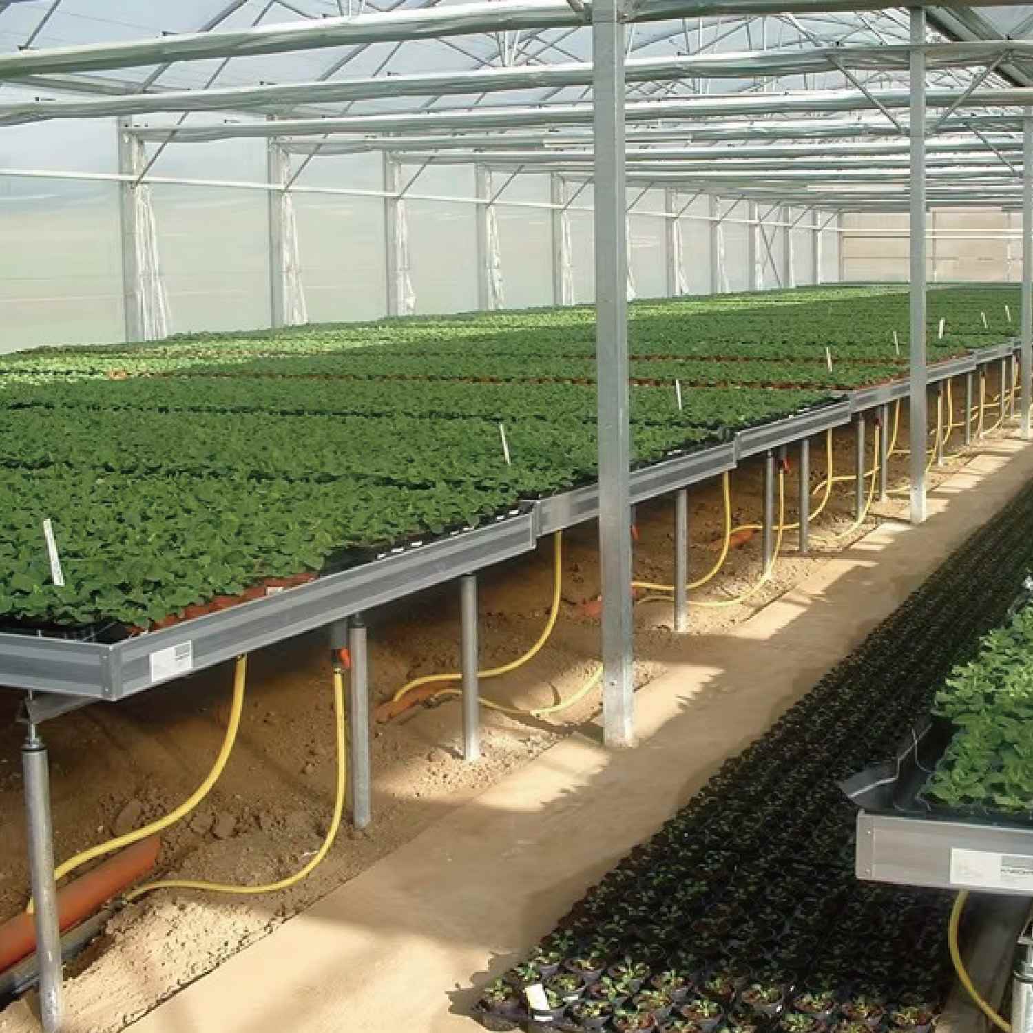 1.2 x 2.4 Meters Rolling Bench with Drip Tray and Trellis Support---TheOneGrow
