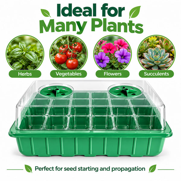 Seed Starter Tray Greenhouse Germination Kit 24 Cells per Seedling Trays
