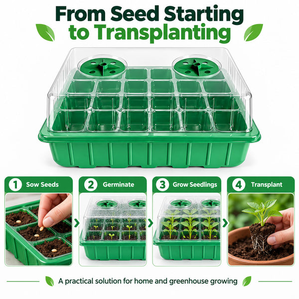 Seed Starter Tray Greenhouse Germination Kit 24 Cells per Seedling Trays