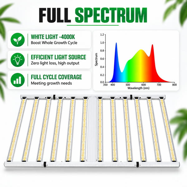 COMBO-SAVE R800!240×120×200cm Grow Tent Kits with 1200w LED Grow Lights ---TheOneGrow