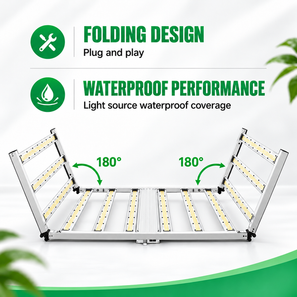 COMBO-SAVE R800!240×120×200cm Grow Tent Kits with 1200w LED Grow Lights ---TheOneGrow