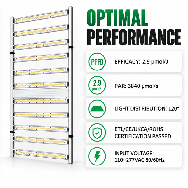 COMBO-SAVE R800!240×120×200cm Grow Tent Kits with 1200w LED Grow Lights ---TheOneGrow