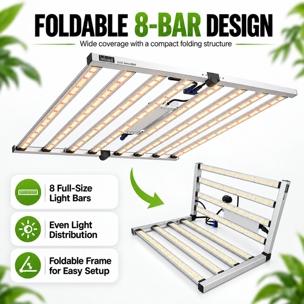 COMBO-SAVE R600! 240x120x200cm Grow Tent Kit with 800W LED Grow Light---TheOneGrow