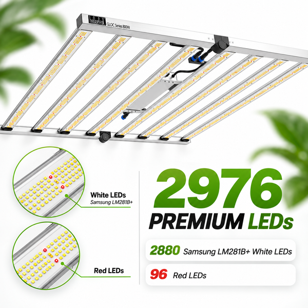 COMBO-SAVE R600! 800W LED Grow Light with 240×240×200cm Grow Tent Kit---TheOneGrow