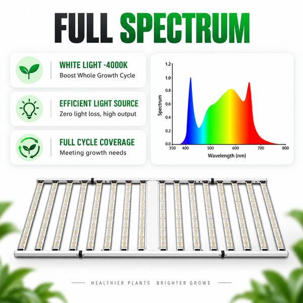 COMBO-SAVE R800! 300x300x200cm Grow Tent Kit with 1600W LED Grow Light---TheOneGrow