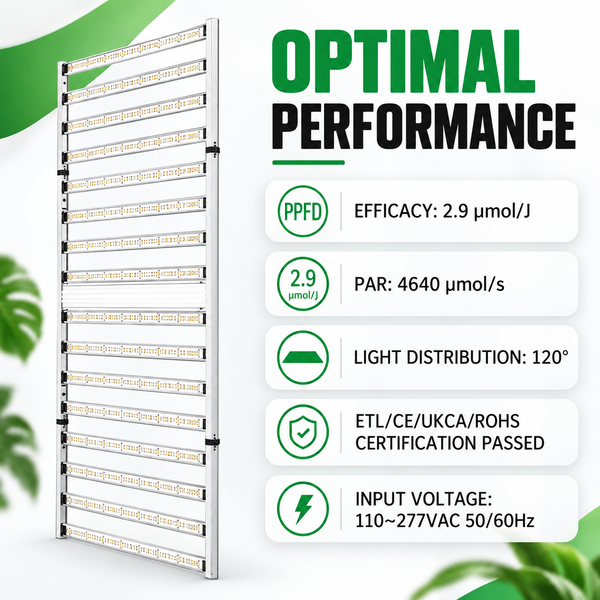 COMBO-SAVE R800! 300x300x200cm Grow Tent Kit with 1600W LED Grow Light---TheOneGrow